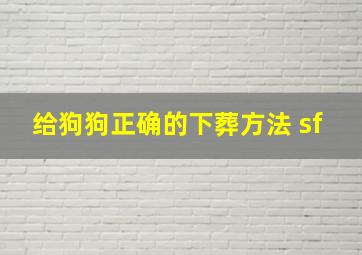 给狗狗正确的下葬方法 sf